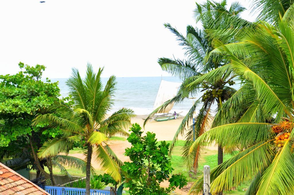 Blumarine Guest House Negombo Ruang foto
