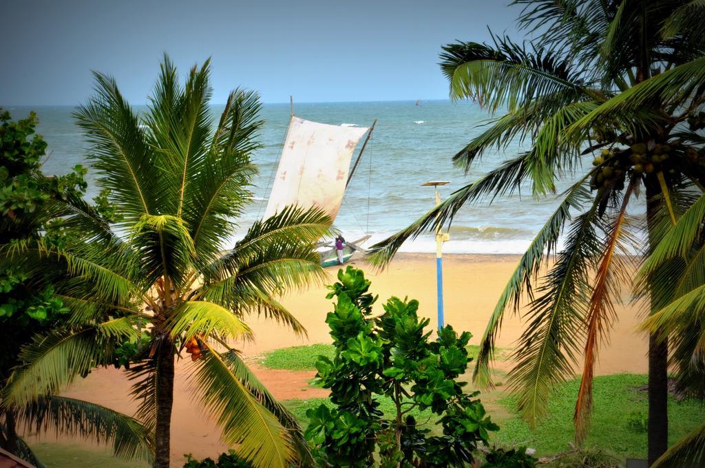 Blumarine Guest House Negombo Bagian luar foto